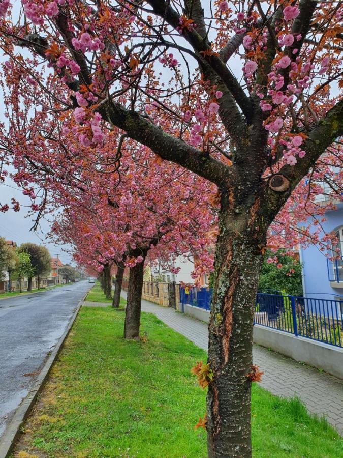 Laguna Apartmanhaz Hévíz Exteriér fotografie