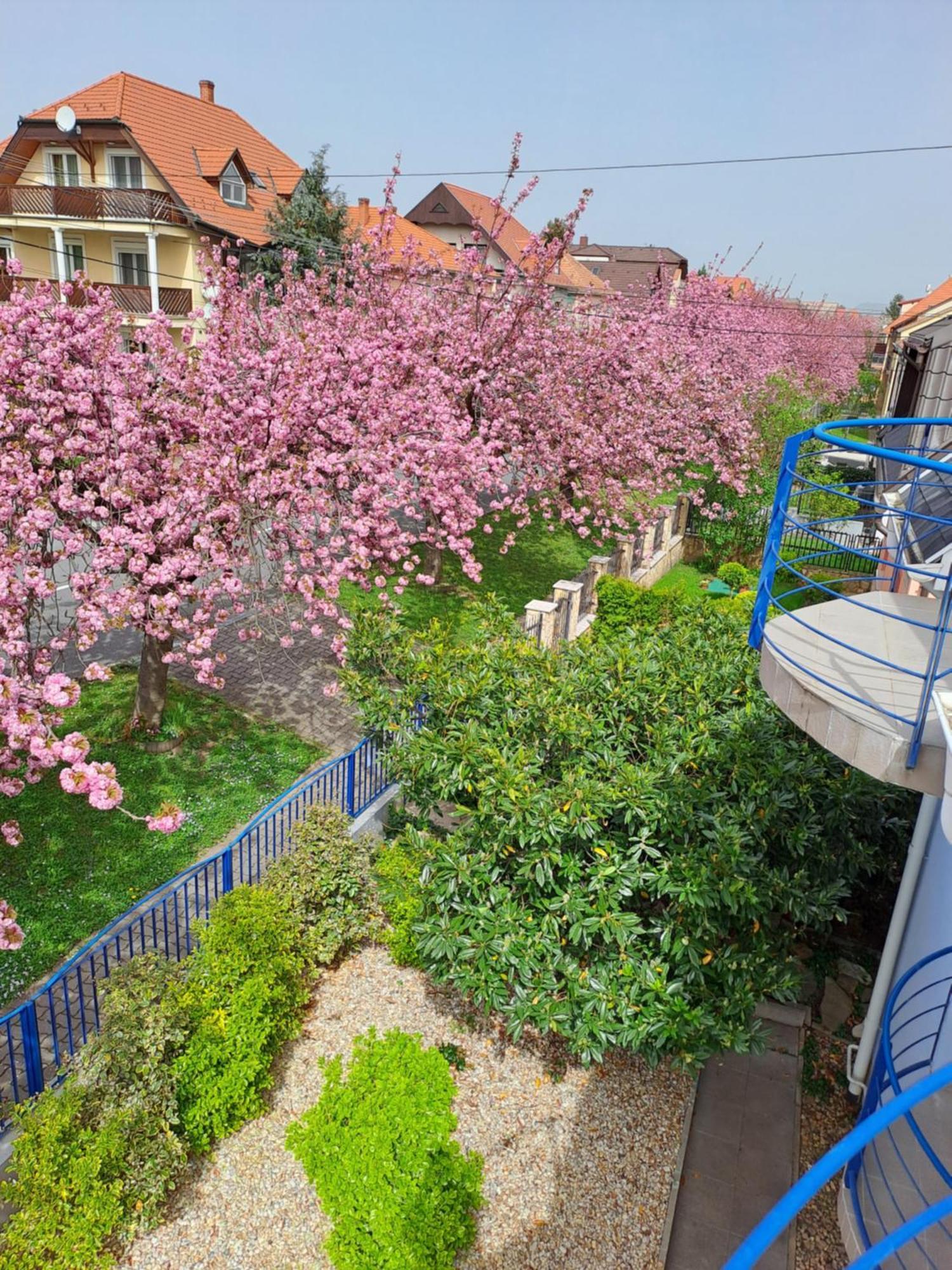 Laguna Apartmanhaz Hévíz Exteriér fotografie
